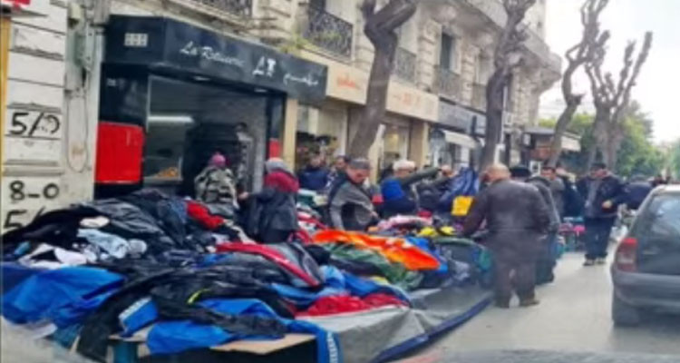 رئيسة بلدية تونس: ليس لدينا أعوان تنفيذيين لمقاومة ظاهرة الانتصاب الفوضوي