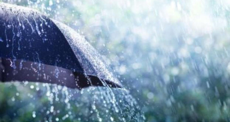 3 ولايات تسجل أعلى كميات للأمطار خلال الـ24 ساعة الماضية