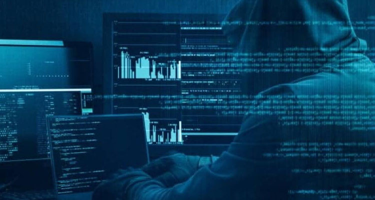 يتزعمها عنصر سلفي: الكشف عن شبكة مختصة في التصيد الإلكتروني