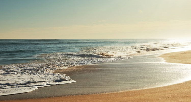 خبير في الشأن المناخي: التراجع الكبير لمستوى مياه البحر لا علاقة له بحدوث التسونامي