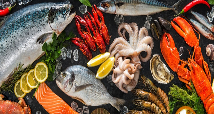 وزارة التجارة تحدد هامش ربح أقصى لتوزيع منتجات الصيد البحري بالتفصيل في حدود 25%