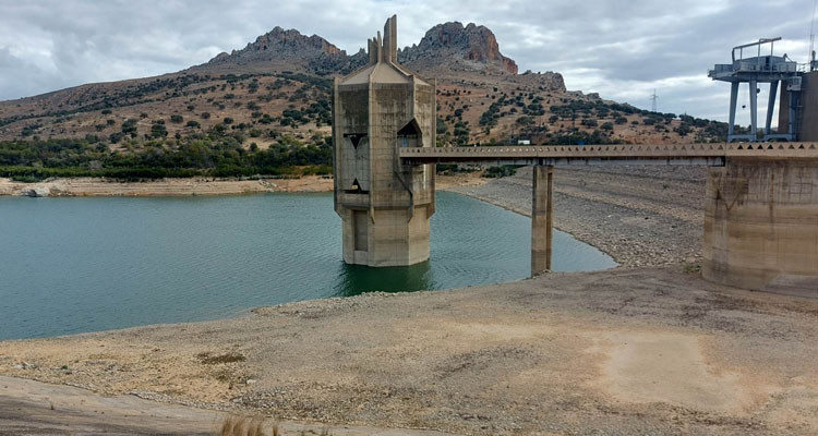 فيصل الخميري: في صورة عدم تسجيل تساقطات في شهري مارس وأفريل سيكون الوضع صعب