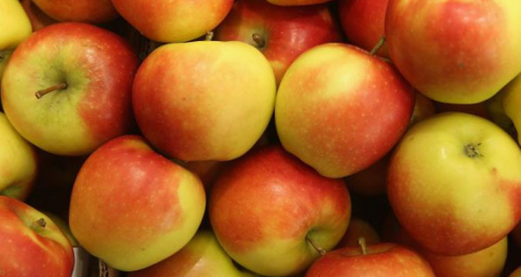 مستشار رئيس اتحاد الفلاحة: نقترح أن تكون تسعيرة التفاح بـ5 دنانير و500 مليم