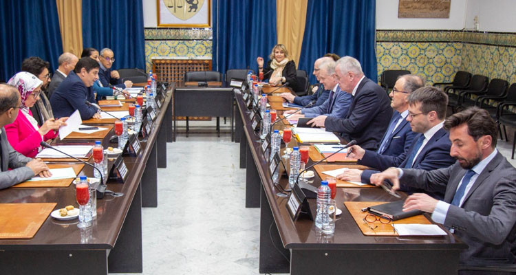 الاتحاد الأوروبي يعبر عن استعداده لمواصلة التعاون مع تونس في مجال الهجرة