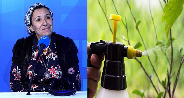 عضو شبكة تونس الخضراء: ''في تونس نعتمد في أكثر من 80 نوع من المبيدات الحشرية عالية السمية''