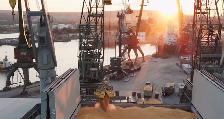 وصول باخرة محملة بأكثر من 25 ألف طن من القمح الأمريكي الصلب