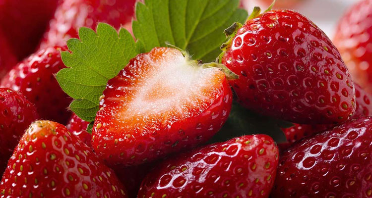 شركة أسواق الجملة: بيع الفراولة يتم حصريا لتجار التفصيل المتحصلين على ''الباتيندة''