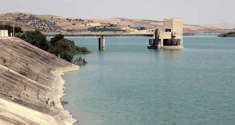 خبيرة في الموارد المائية: الماء الموجود حاليا في السدود لا يغطي حاجيات الصوناد إلى آخر جويلية
