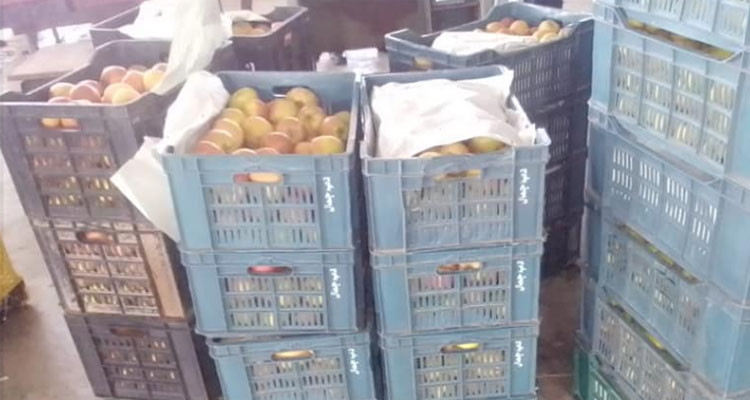 تطاوين: حجز 784 كغ من التفاح لدى تاجري جملة للخضر والغلال