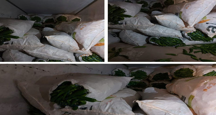 حجز  1,8 طنا من الفلفل على متن شاحنة
