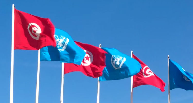 تونس تحيي اليوم الدولي لحفظة السلام