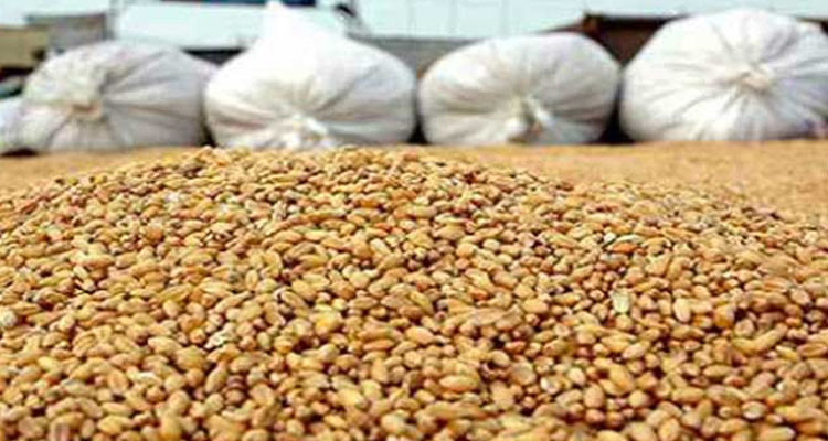 وزير الفلاحة: إقرار منحة زيادة بـ10 دنانير في قنطار الحبوب