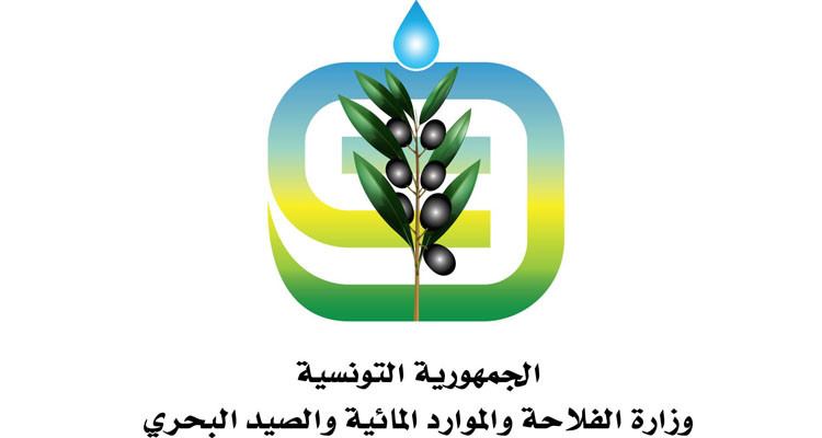 وزارة الفلاحة: فتح المجال للمصدرين الخواص لتصدير زيت الزيتون التونسي السائب