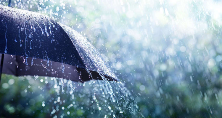 الليلة: أمطار متفرقة ورعدية بالشمال والمناطق الغربية