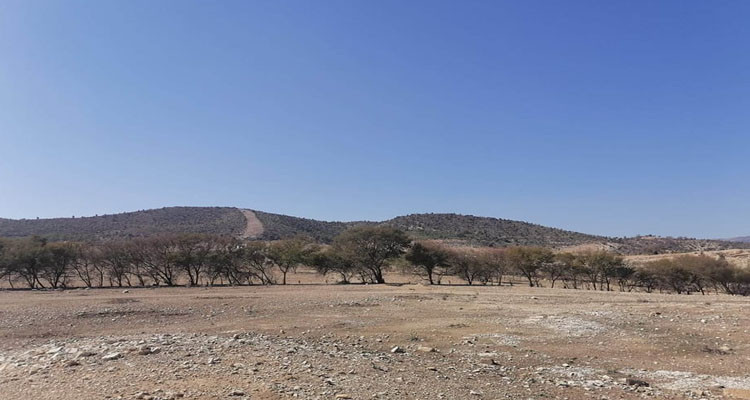 زغوان: استرجاع عقارين دوليين بمنطقة الزريبة بمساحة 14 هكتارا