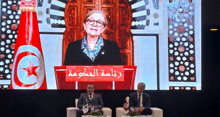 رئيسة الحكومة: حريصون على تطوير القوانين المنظمة للاستثمار دون المس من الاستقرار التشريعي