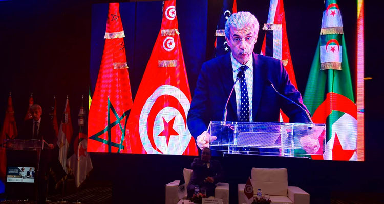 وزير الاقتصاد يدعو رجال الأعمال التونسيين والبنوك إلى الاهتمام بالشراكة بين القطاعين العام والخاص