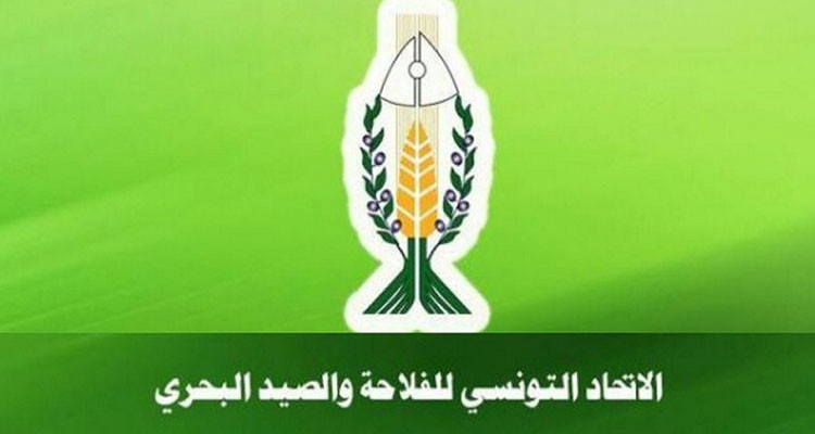 اتحاد الفلاحة ينفي تهم الفساد الموجهة إليه بخصوص إدارة ملف الأعلاف المدعمة