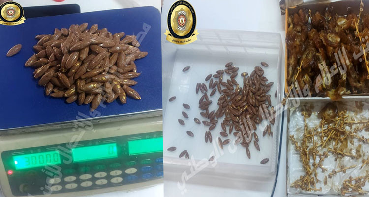 مطار قرطاج: حجز 03 كغ من الذهب لدى مسافر عمد إلى صهره وإعادة تشكيله لإخفائه داخل حبات التمر