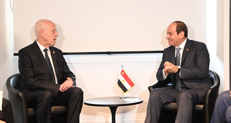 قيس سعيد للسيسي: ضرورة انتهاج مقاربات غير تقليدية في بناء علاقات اقتصادية ومالية جديدة