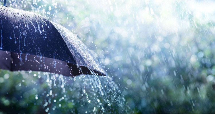 خلايا رعدية مع أمطار أحيانا غزيرة