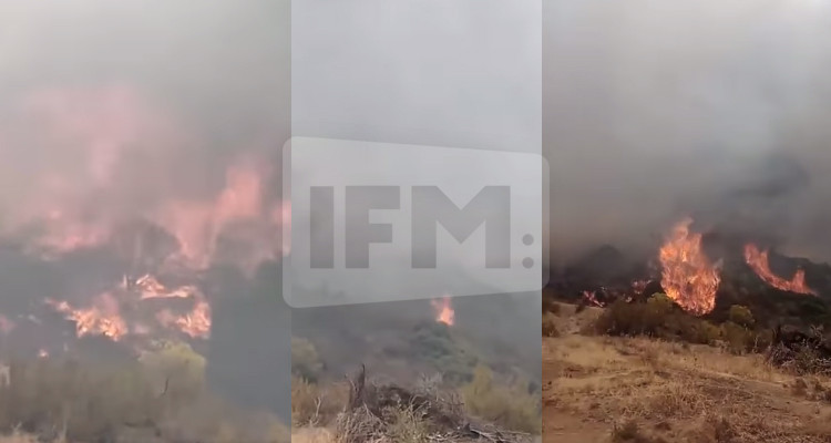 سليانة: السيطرة الأولية على حريق جبل المرقب