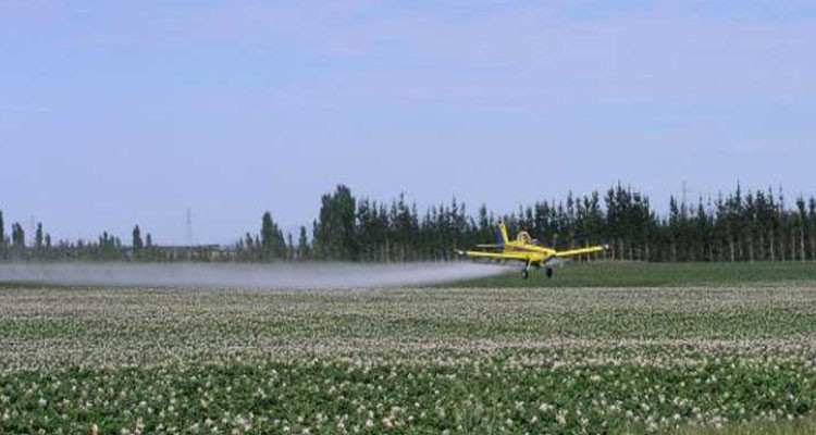 بن عروس: برمجة حصص مداواة باستعمال الطائرة فوق مآوي الحشرات