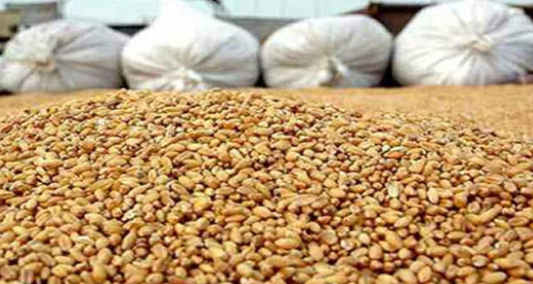 وزارات الفلاحة والاقتصاد والتجارة تضبط كراس شروط ممارسة نشاط تجميع الحبوب