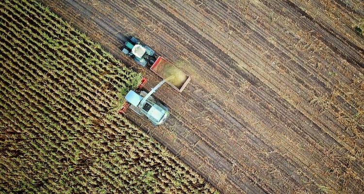 تونس تسجل تراجعا في عمليات الاستثمار الفلاحي الخاص