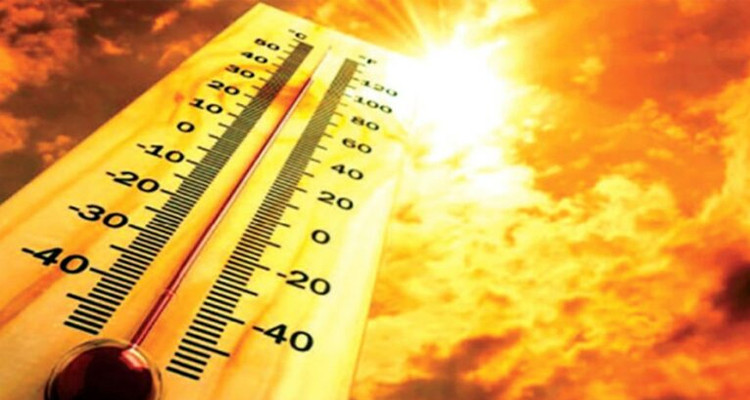 محرز الغنوشي: درجات الحرارة ستكون بين 45 و49 درجة نهاية الأسبوع