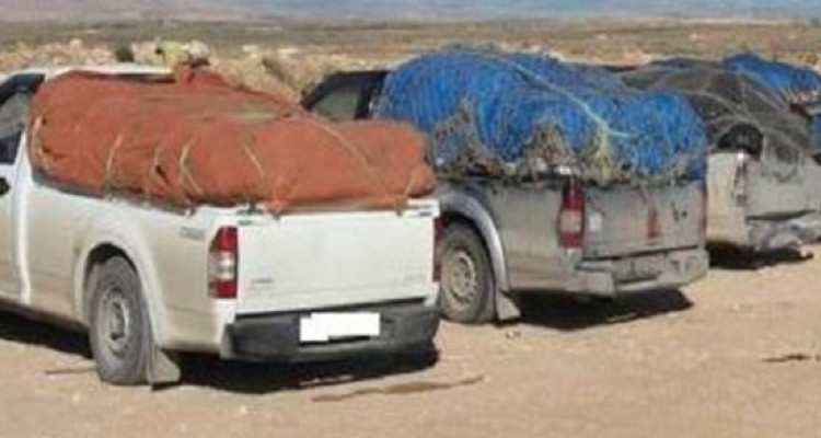 قابس وسيدي بوزيد: إحباط 5 عمليات تهريب وحجز بضاعة قدرت بـ314 ألف دينار