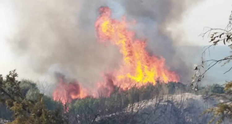 بنزرت: تفعيل المخطط الجهوي لتنظيم النجدة