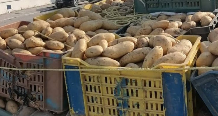 أريانة: حجز 2 طن من مادة البطاطا