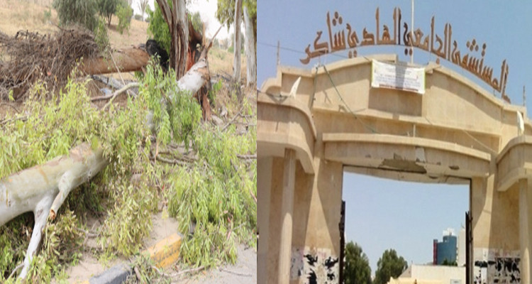 وفاة ستيني بعد أن سقط عليه غصن شجرة أمام مستشفى الهادي شاكر بصفاقس