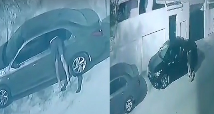 الحمامات: كاميرا المراقبة توثق عملية سرقة لـ8 سيارات فجر اليوم