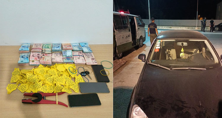 غار الدماء: تفكيك شبكة مختصة في تهريب الأبقار