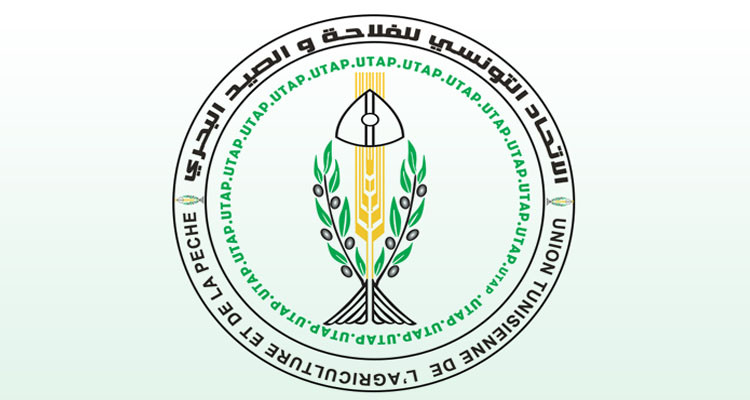 إتحاد الفلاحة يدعو سلطة الإشراف إلى مساعدة أصحاب المقاسم الفنية الفلاحية