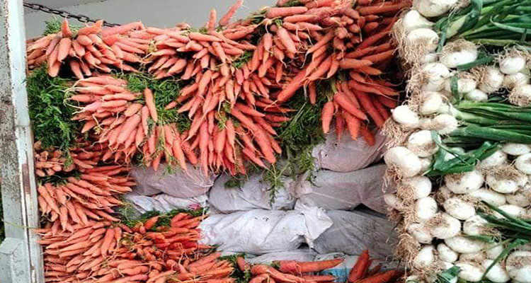 بنزرت: حجز شاحنة محملة بـ1.5 طن من الخضر وإعادة ضخها في المسالك القانونية
