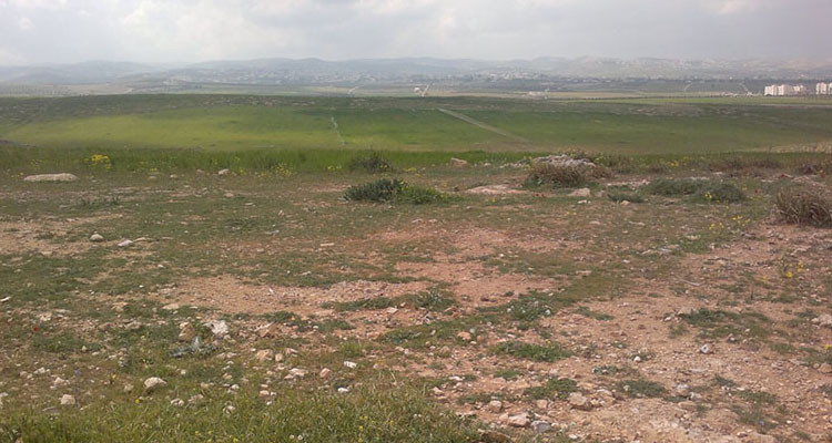 القصرين: إسترجاع عقار دولي يمسح 4300 متر مربع محل استيلاء بعمادة خمودة