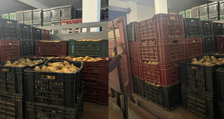 نابل: ضبط شاحنة محملة بكمية من مادة ''البطاطا''
