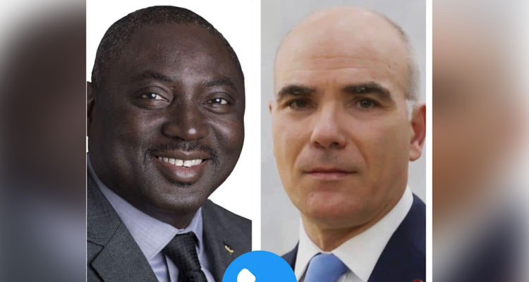 وزير الخارجية يتحادث هاتفيا مع نظيريه في دولتي غامبيا وإفريقيا الوسطى