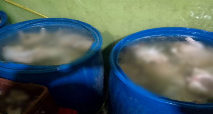 قفصة: الكشف عن مسلخ عشوائي للدواجن