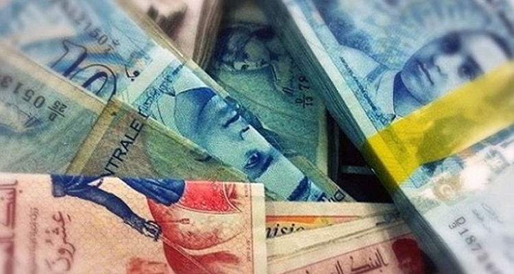 زغوان: انتفاع 50 عائلة بتدخّلات برنامج تمويل الفئات الضعيفة ومحدودة الدخل