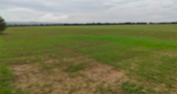 وزارة أملاك الدولة: استرجاع الضيعة الدولية الفلاحية "فنارك 1 الفردوس" بأريانة