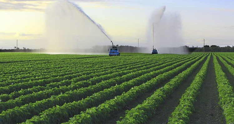 كاتب الدولة للمياه يدعو إلى تطوير بنك البيانات والمعلومات لخصائص التربة ورقمنته