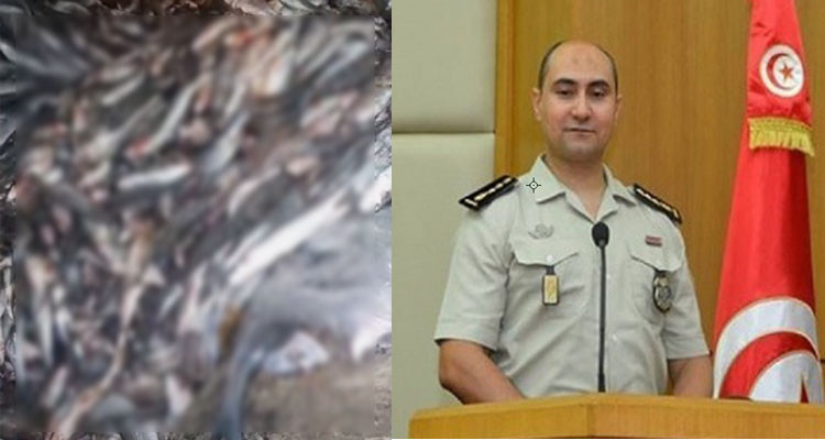 حسام الدين الجبابلي: حجز 1350 كغ من المنتوجات البحرية غير صالحة للاستهلاك البشري وللقطط أيضا