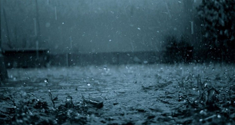 أمطار رعدية وأحيانا غزيرة بالمناطق الساحلية الشمالية