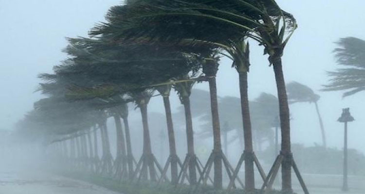 معهد الرصد الجوي:  رياح قوية سارية المفعول والبحر شديد الهيجان