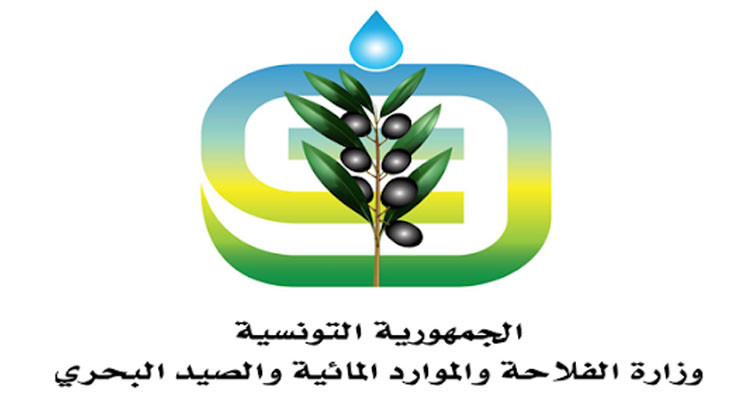 وزارة الفلاحة: توفر كل الخضر خلال شهر رمضان والتركيز على القوارص والفراولة بالنسبة للغلال