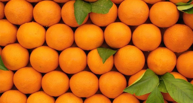 عائدات تونس من تصدير البرتقال المالطي وزيت الزيتون والتمور تناهز 2146 مليون دينار حاليا